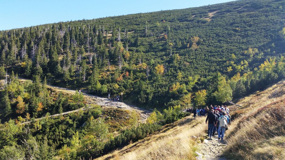 BIESZCZADY